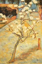 Pear Tree in Blossom Reproduction at overstockArt.com Pear Tree in Blossom Reproduction at overstockArt.com