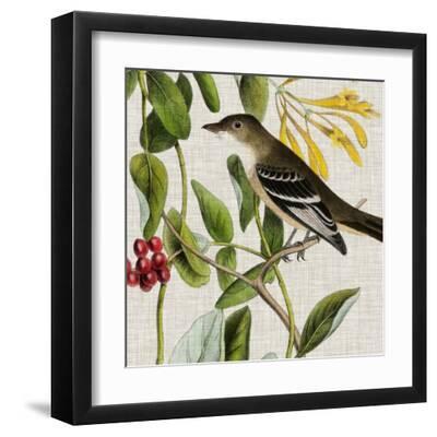 Avian Crop II - Black Framed Art Print Wall Art, 12x12