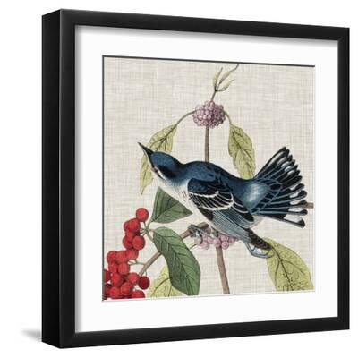 Avian Crop III - Black Framed Art Print Wall Art, 12x12