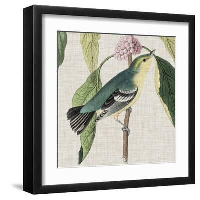 Avian Crop IV - Black Framed Art Print Wall Art, 12x12