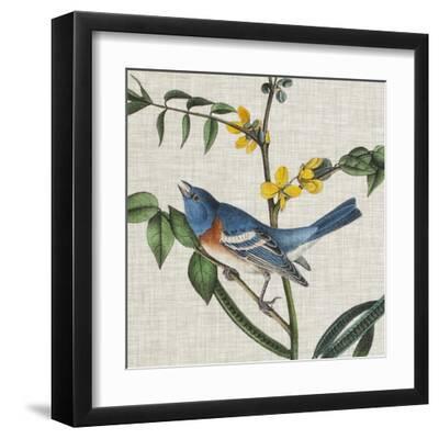 Avian Crop VIII - Black Framed Art Print Wall Art, 12x12
