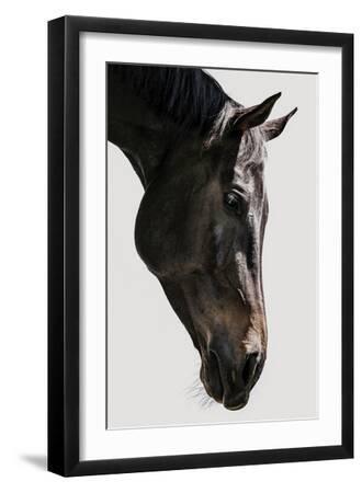 Bingo - Black Framed Art Print Wall Art, 12x18