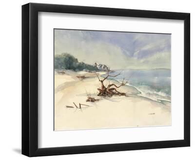Rhode Island Driftwood I - Black Framed Art Print Wall Art, 12x9
