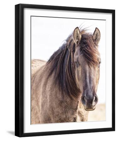 Single Approach - Black Framed Art Print Wall Art, 16x20