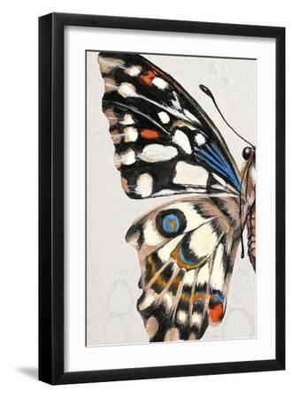 Stained Glass Butterfly Wing Study I - Black Framed Art Print Wall Art, 12x18