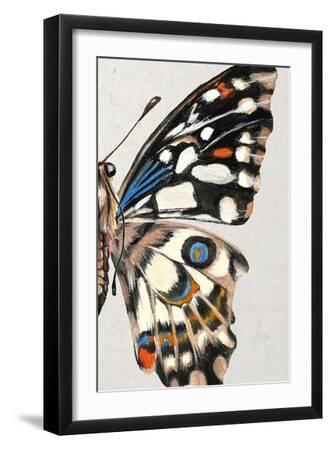 Stained Glass Butterfly Wing Study II - Black Framed Art Print Wall Art, 12x18