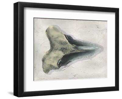 Watercolor Sharks Tooth III - Black Framed Art Print Wall Art, 12x9