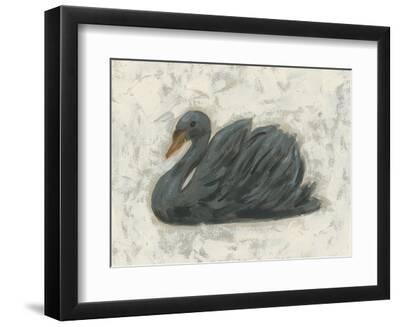 White Swan/Black Swan I - Black Framed Art Print Wall Art, 12x9