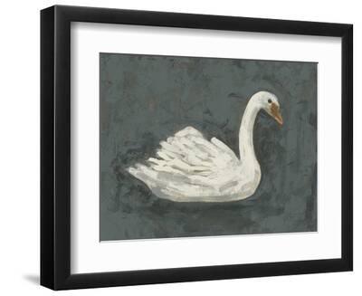 White Swan/Black Swan II - Black Framed Art Print Wall Art, 12x9