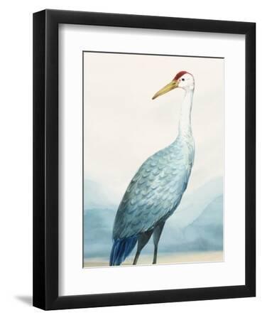 Winged Calm II - Black Framed Art Print Wall Art, 9x12